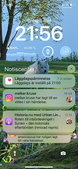 Roddbåt.  Eka 3 of 3