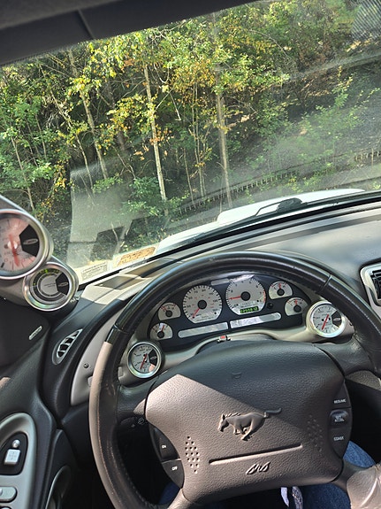 Ford Mustang 13 of 14