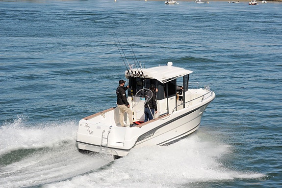 Norhval 23 Ostrea