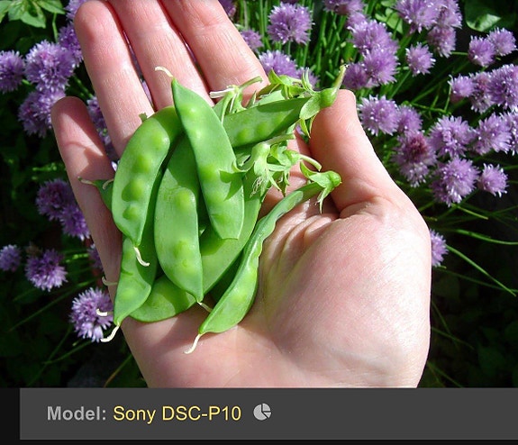 Product image 16 of 20