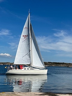 Hansson 31 — View photo 1