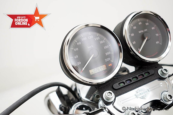 Harley-Davidson XL1200R Sportster Roadster 1200 23 of 24