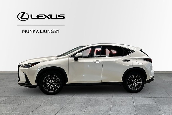 Lexus NX350h 3 of 5