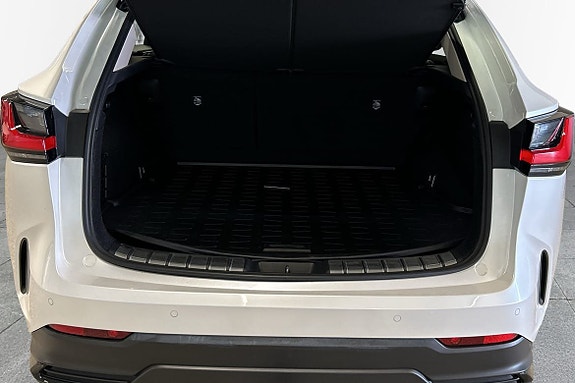 Lexus NX350h 10 of 10
