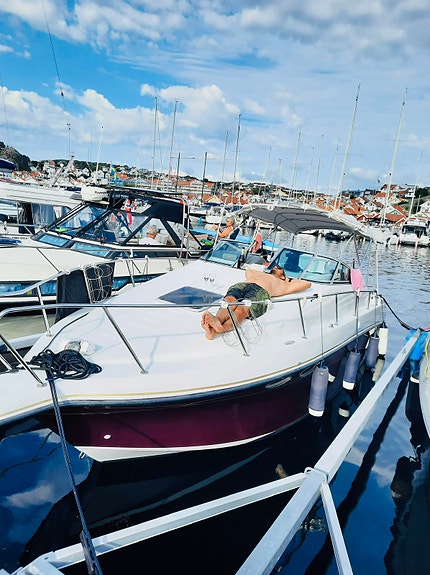Crownline Cr250 årsmodell 1993 15 of 15