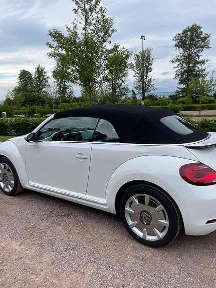 Volkswagen Beetle 8 of 11