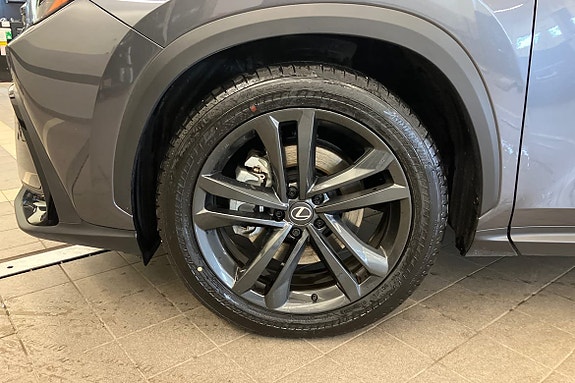Lexus NX450h+ 18 of 20