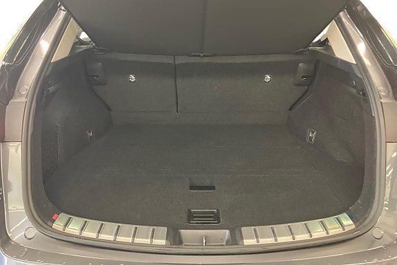 Lexus NX450h+ 15 of 20