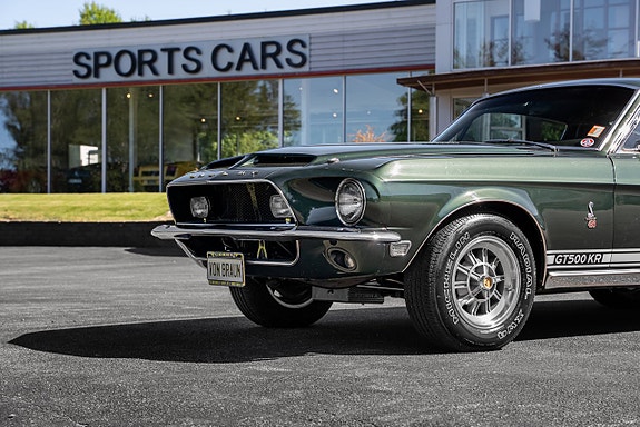 Shelby Mustang 2 of 5