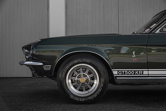 Shelby Mustang 22 of 25