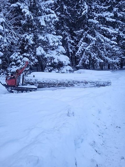 Järnhästen Flex 2 7 of 8