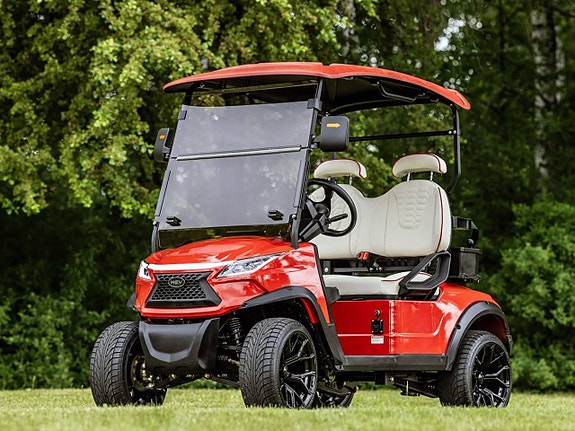 Golfbil WEV G 2.0 2 of 12