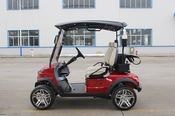 Golfbil WEV G 2.0 3 of 12
