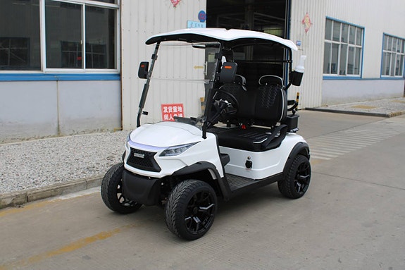 Golfbil WEV G 2.0 5 of 12
