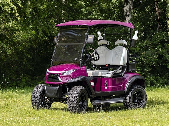 Golfbil WEV G 2.0 4 of 12