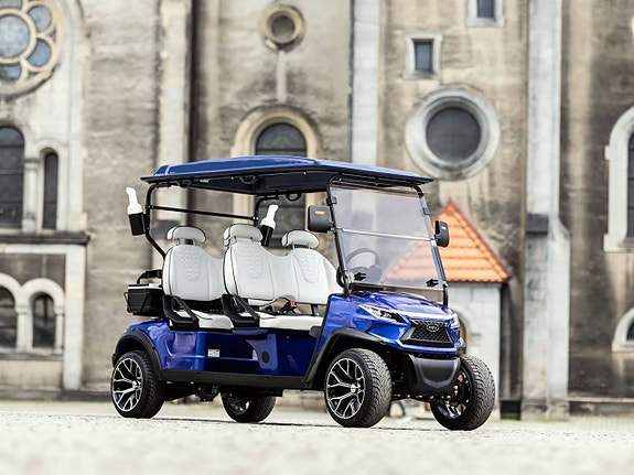 Golfbil WEV G 4.0 2 of 11