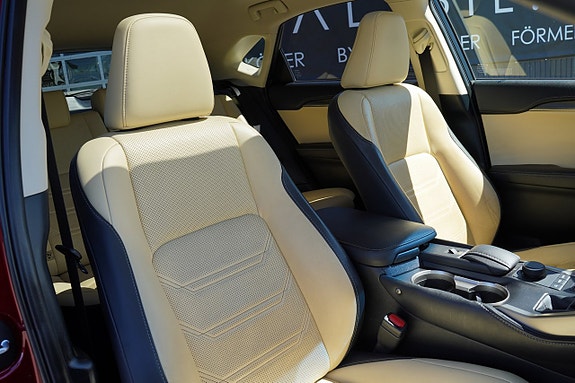 Lexus NX300h 21 of 27
