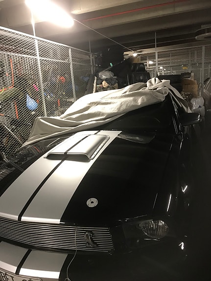 Ford Mustang 6 of 13