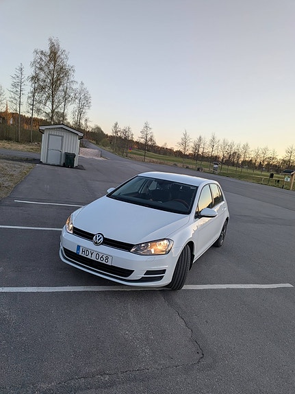 Volkswagen Golf VII 3 of 3