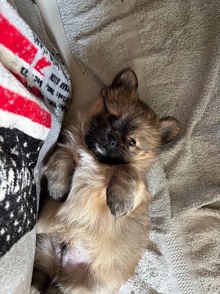 Product image 11 of 14