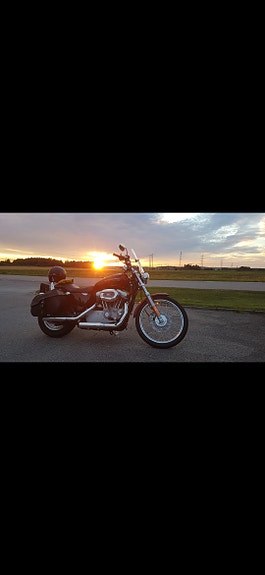 Harley-Davidson Sportster XL883c 13 of 17