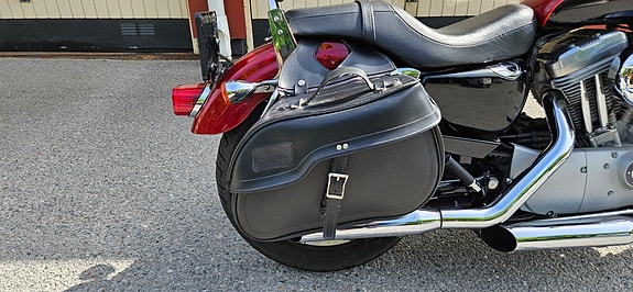 Harley-Davidson Sportster XL883c 9 of 17
