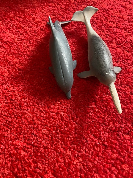 Product image 14 of 15
