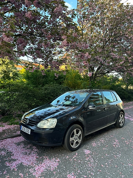 Volkswagen Golf V 3 of 5