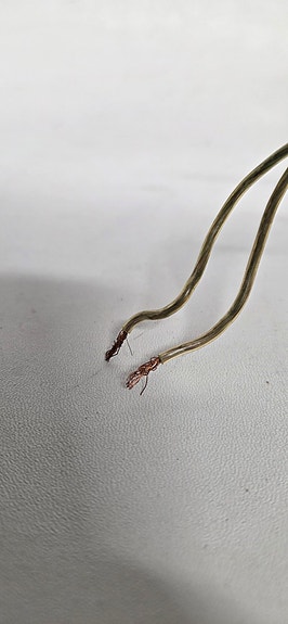Product image 12 of 13