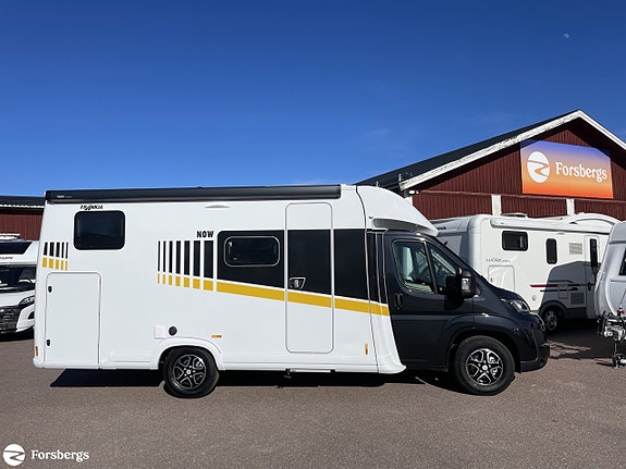 Frankia Now 7.0 L - Style Sun - LAGERRENSNING! 2 of 18
