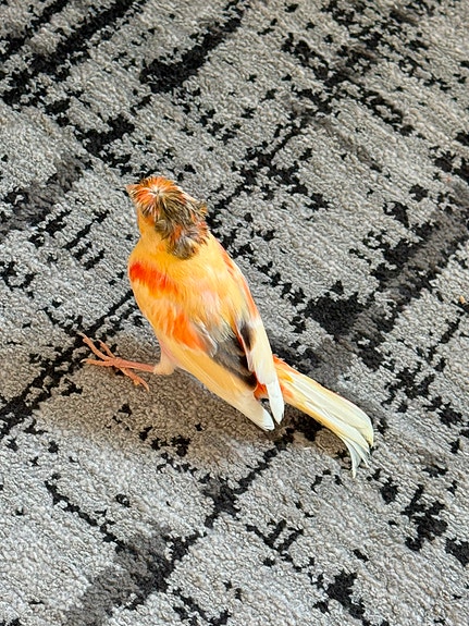 Product image 4 of 16