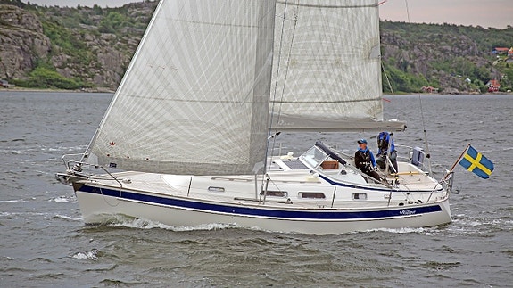 HALLBERG-RASSY 342 — Vedi foto 1