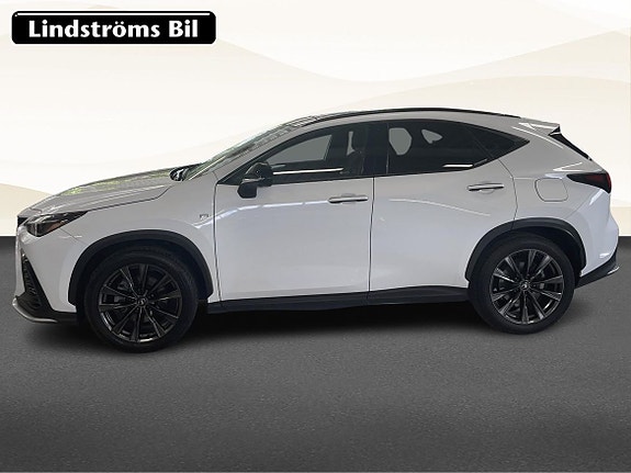 Lexus NX350h 6 of 20