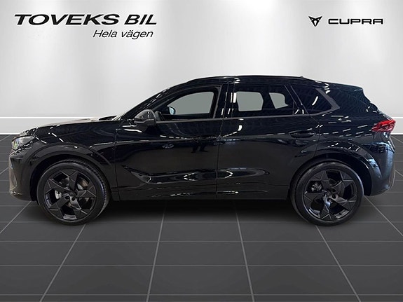 Cupra Terramar 6 of 20