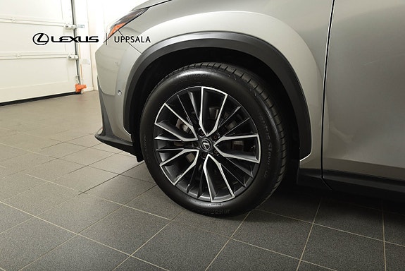 Lexus NX450h+ 23 of 24