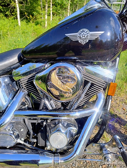 Harley-Davidson FXSTC Softail Custom 6 of 30