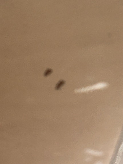Product image 13 of 22
