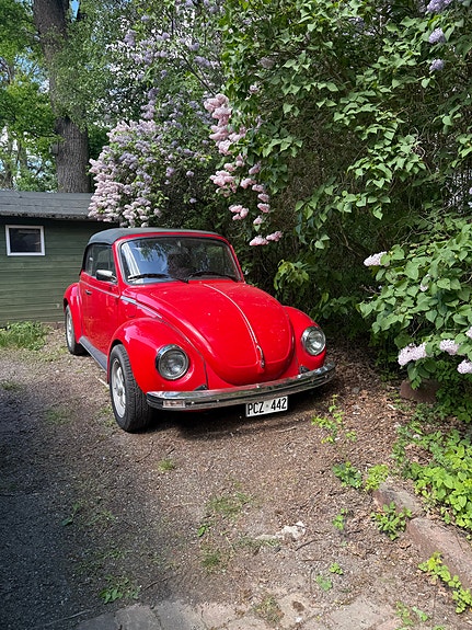 Volkswagen 1303 2 of 3