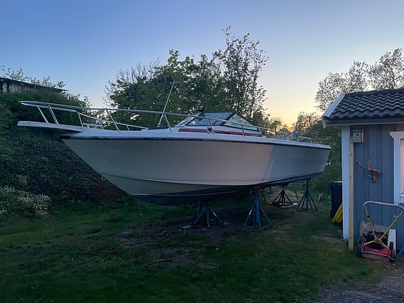 Proline 23 Wa 5 of 6
