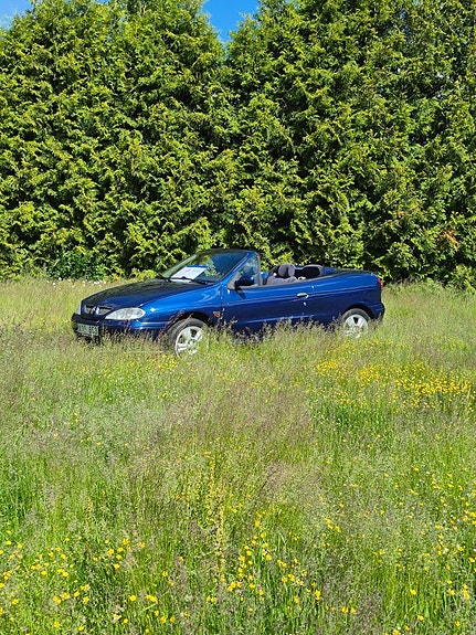 Renault Megane I 13 of 13