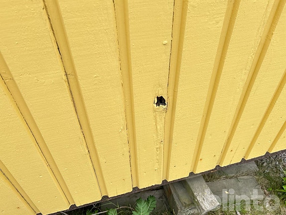 Product image 15 of 21