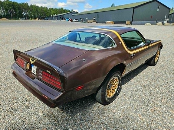 Pontiac Firebird 1977 photo 4