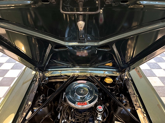 Ford Mustang 21 of 24