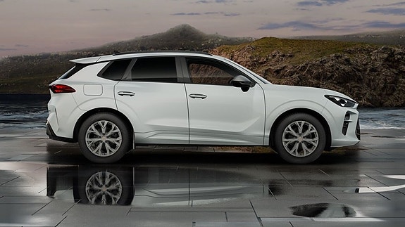Cupra Terramar 16 of 27