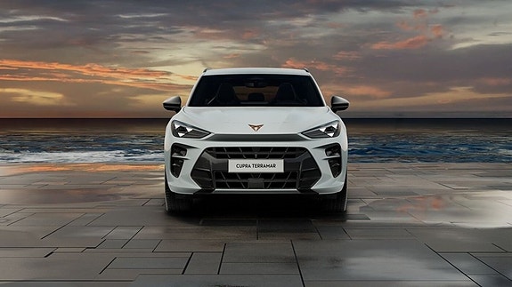 Cupra Terramar 18 of 27