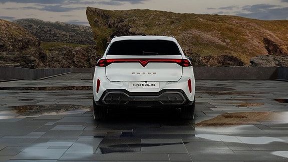 Cupra Terramar 20 of 27