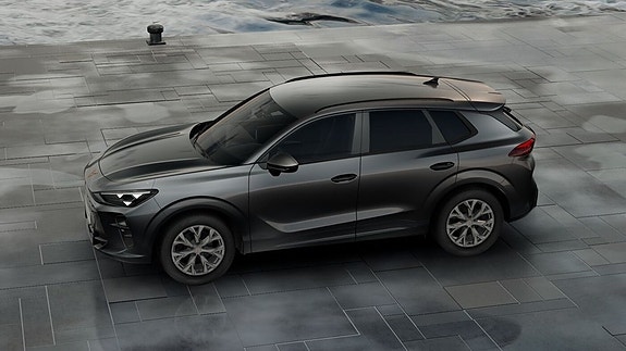 Cupra Terramar 12 of 15