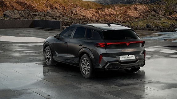Cupra Terramar 10 of 15