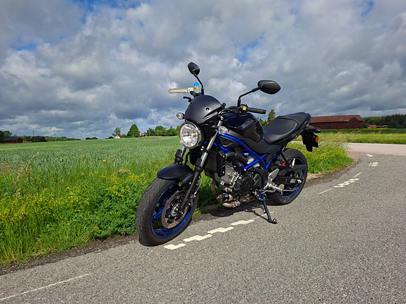 Suzuki SV650 4 of 6