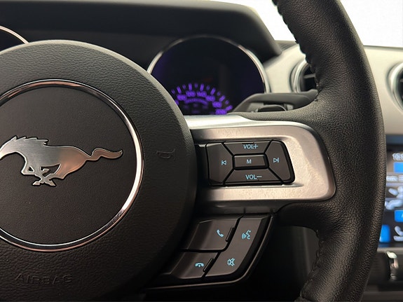 Ford Mustang 17 of 30